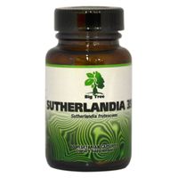 Big Tree Sutherlandia